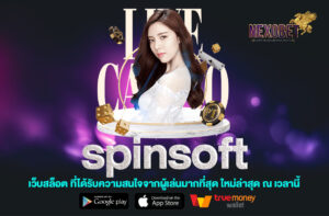 spinsoft